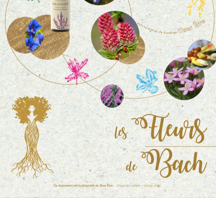 Formation Fleurs de Bach avec Sandrine, thérapeute bien-être en Gironde