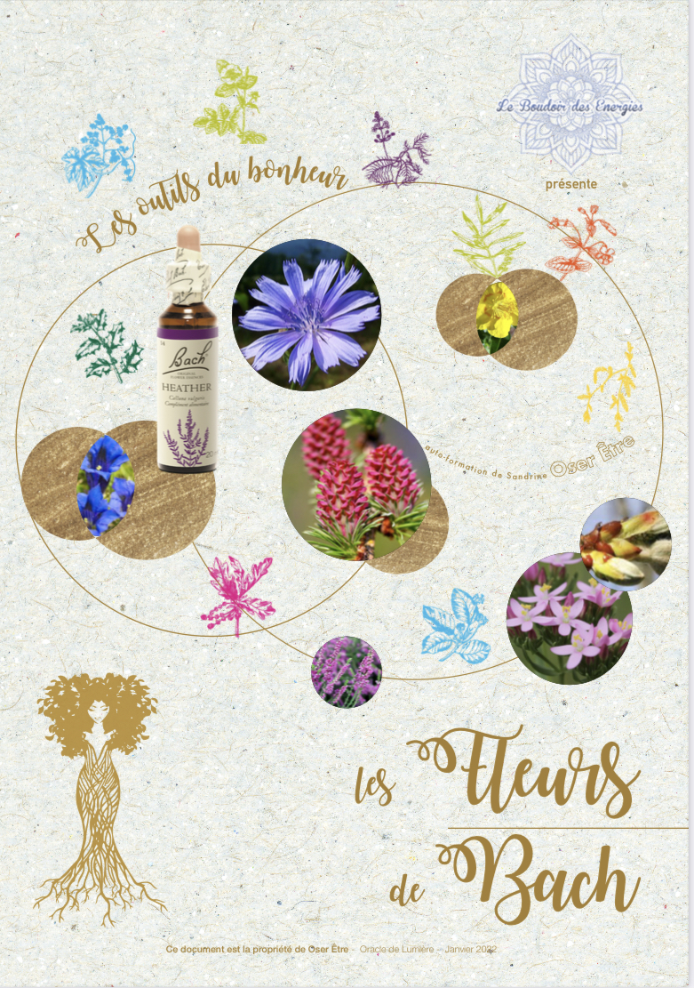 Composition de fleurs et flacon d'élixir floral de Bach