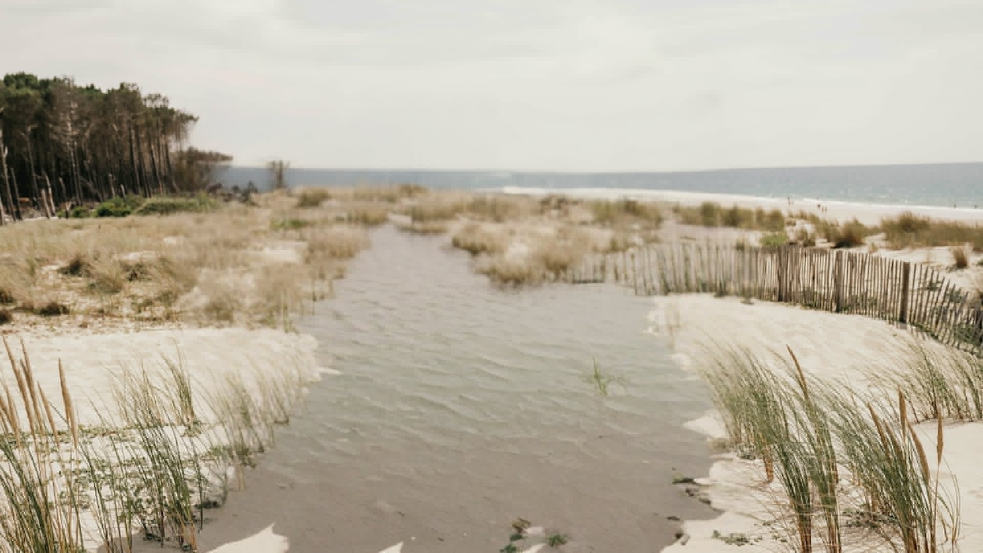 Plage et dunes des Landes