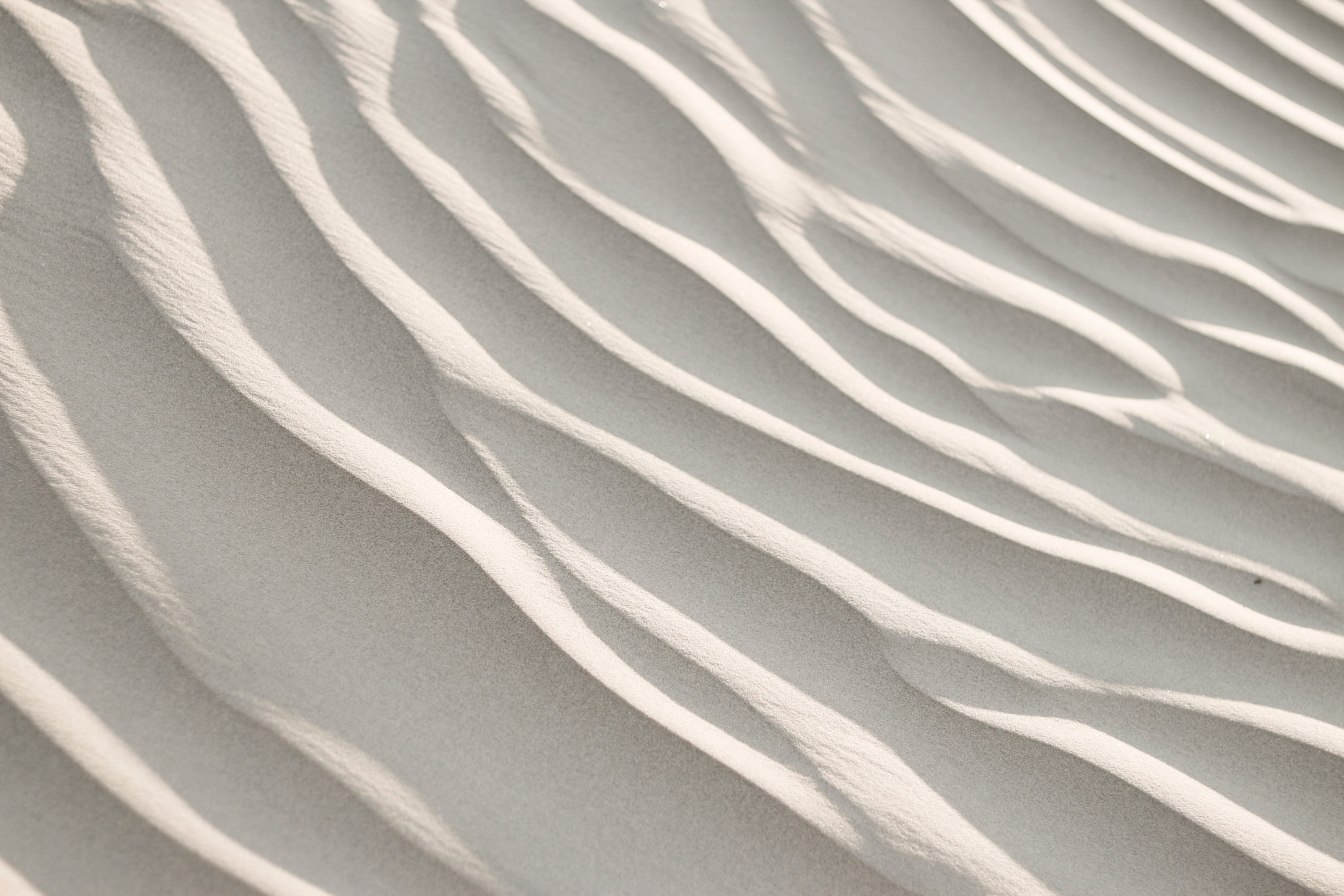 Ondulations du sable sculptées par le vent
