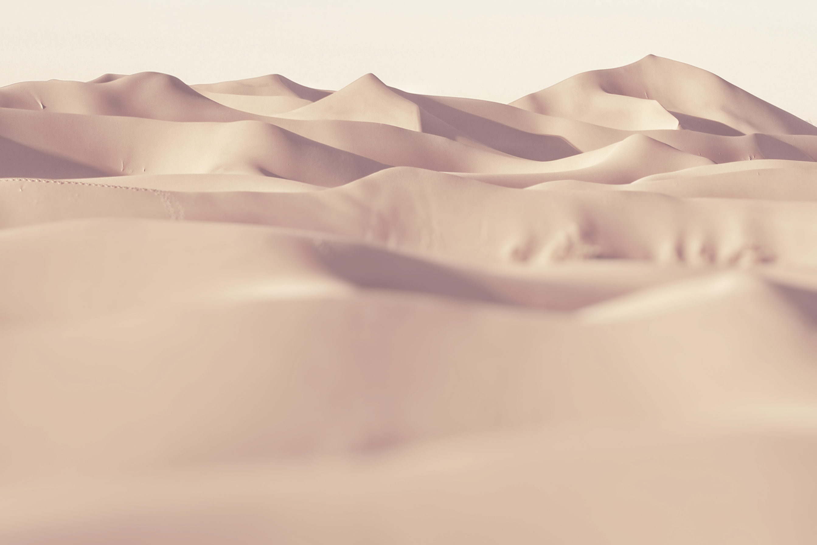 Dunes de sable rosé à perte de vue